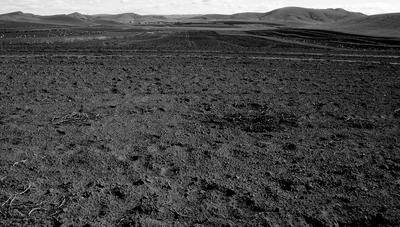 东北地区土壤物理性质数据集（1955-1965年）