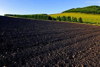 东北地区土壤化学性质数据1952-1965年